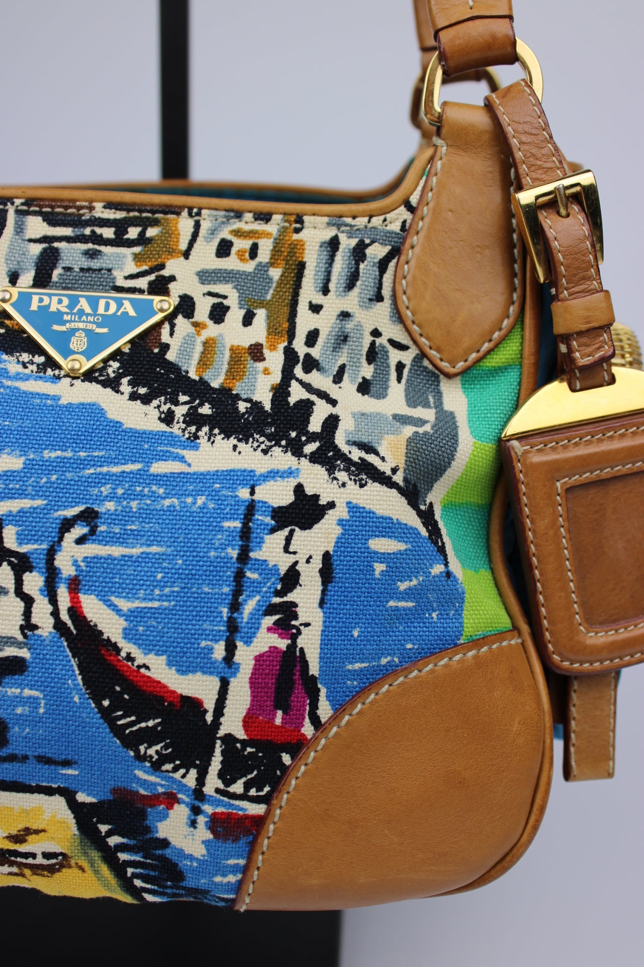 Prada Venice Painting Hobo Bag