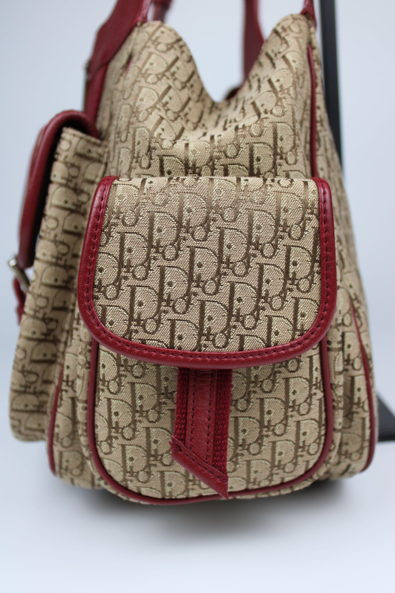Dior Monogram Columbus Hobo Bag 2006