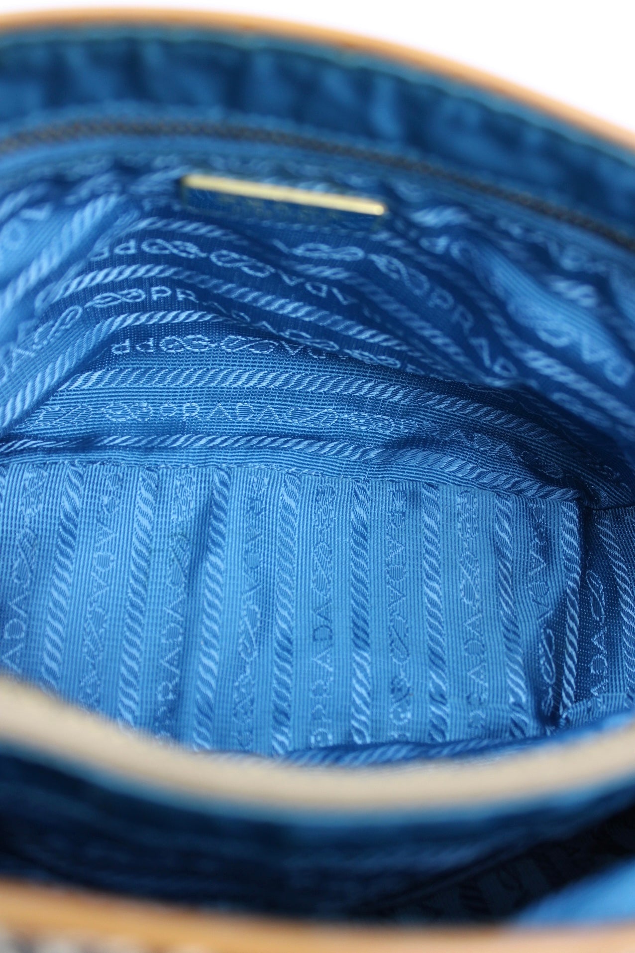 Prada Venice Painting Hobo Bag