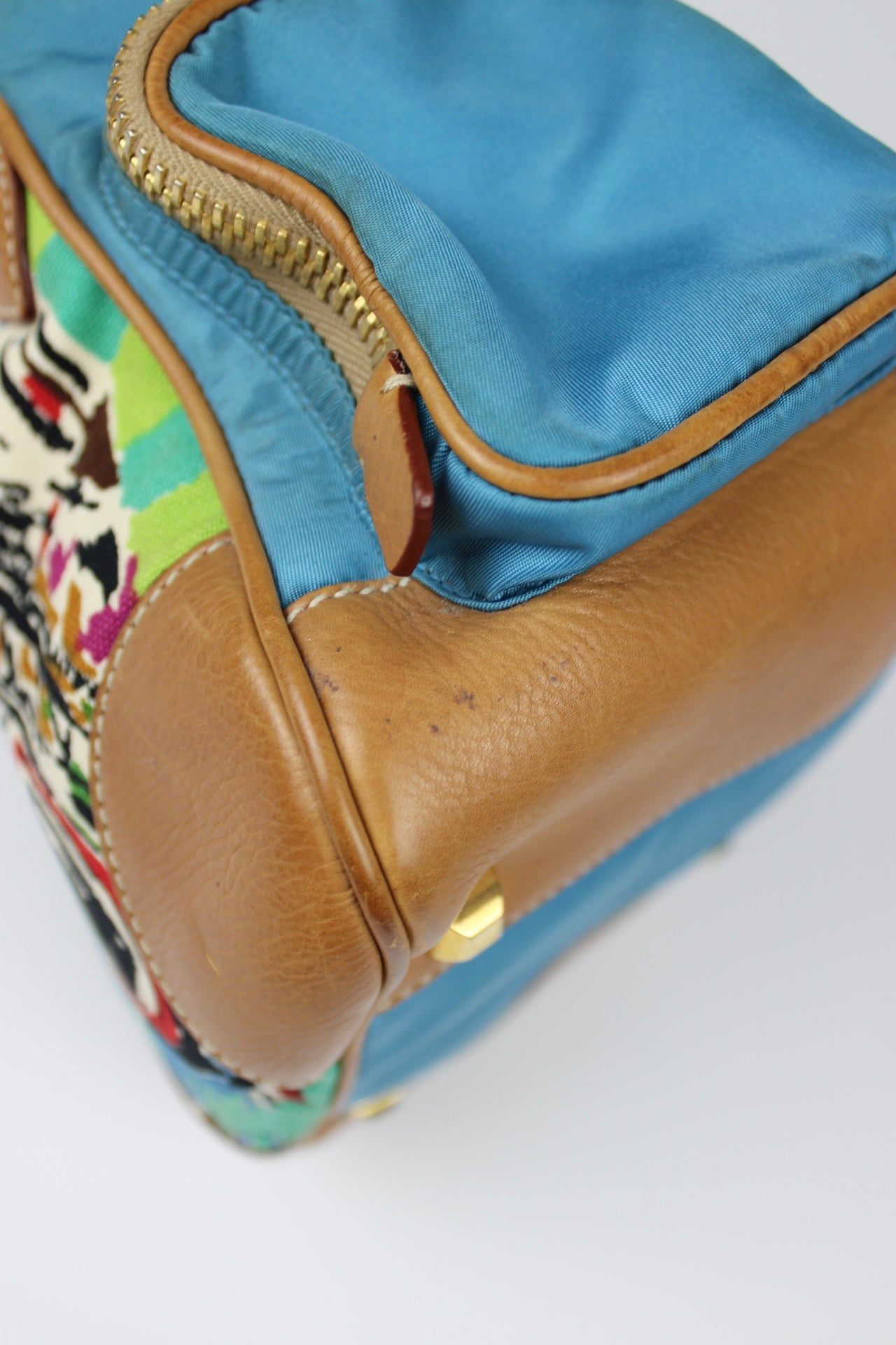 Prada Venice Painting Hobo Bag