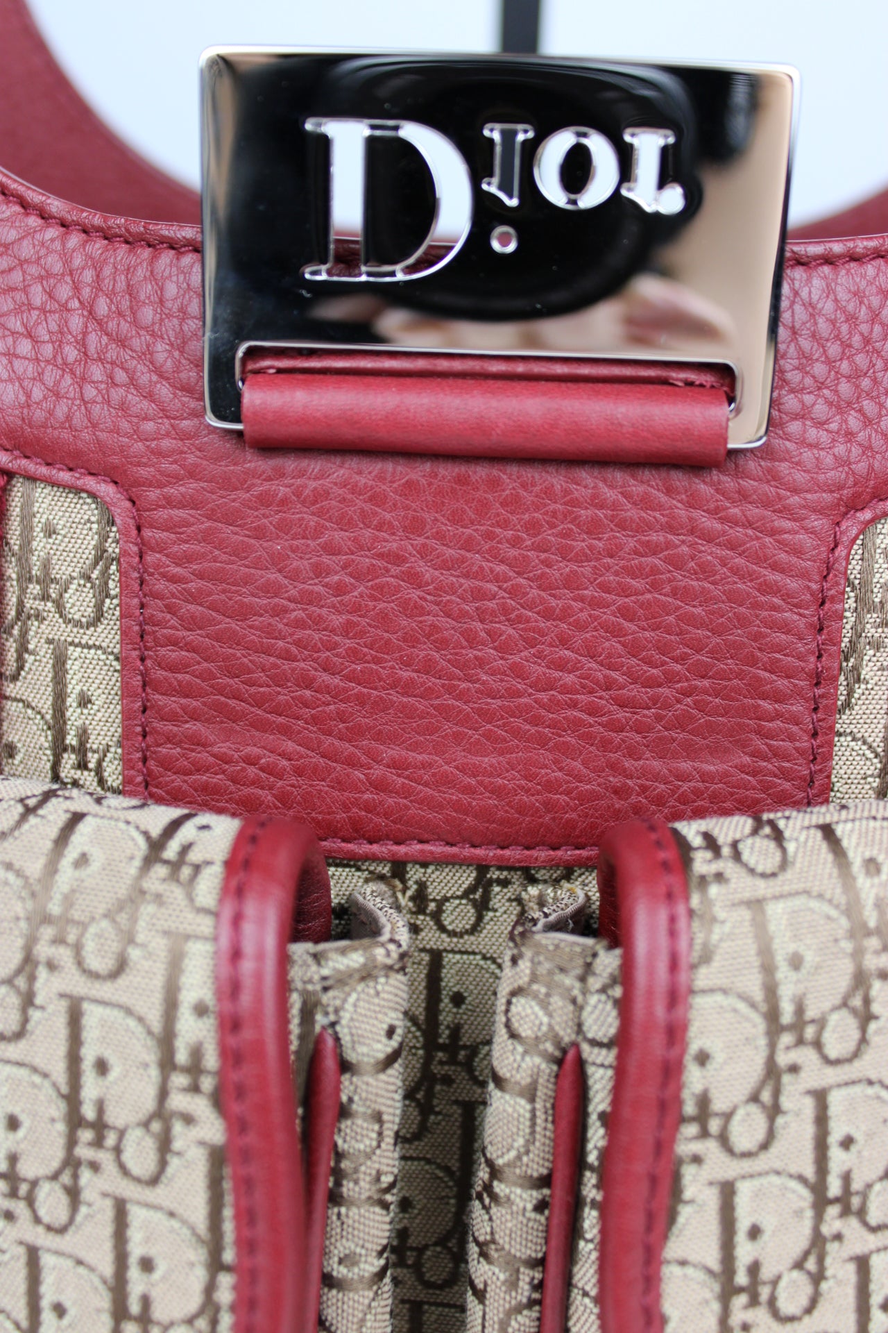 Dior Monogram Columbus Hobo Bag 2006