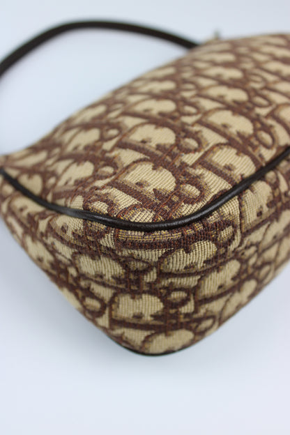 Dior Monogram Oblique Bag 2006