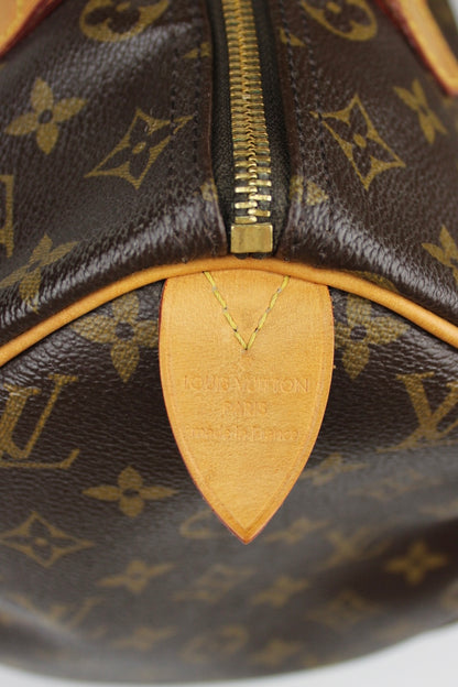 Louis Vuitton Speedy 30 Bag 2013