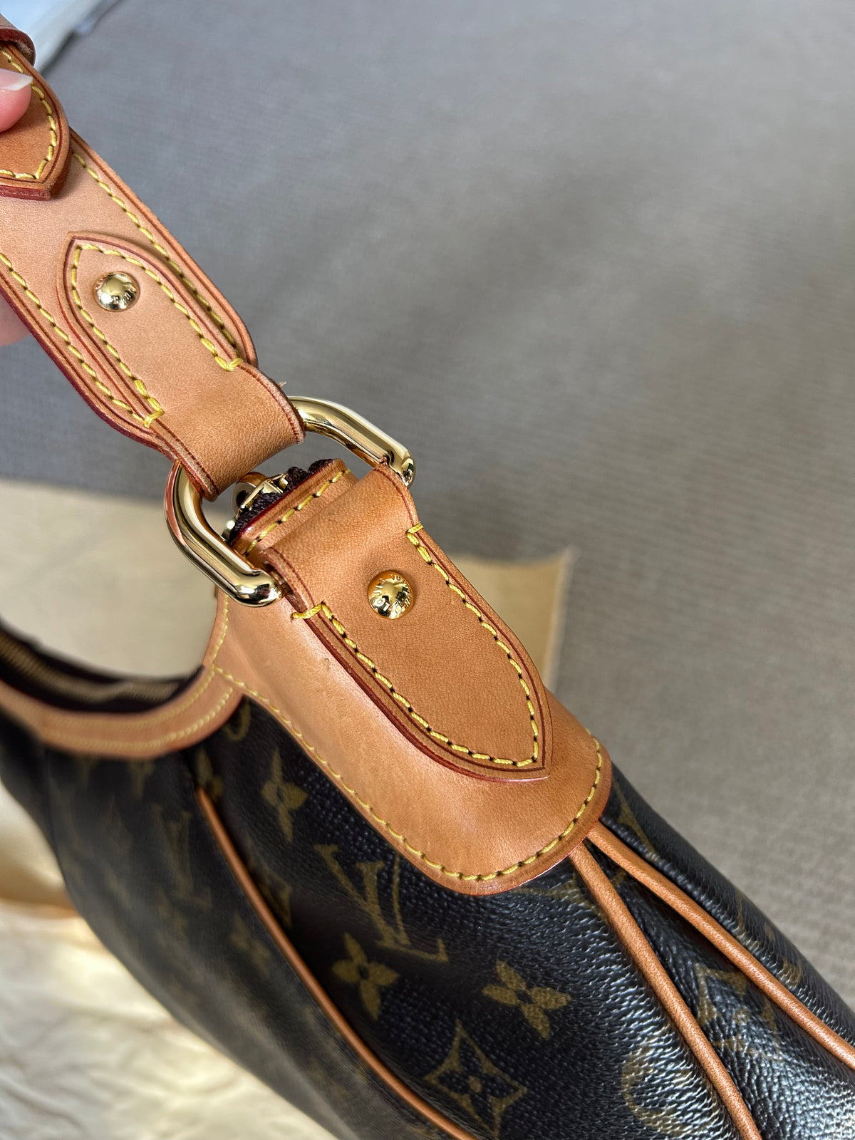 Pre-owned Louis Vuitton Thames PM Bag 2009