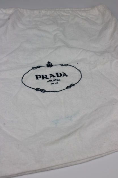 Prada Venice Painting Hobo Bag