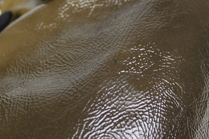 Prada Vernice Sfumata Ombré Patent Bag 2008