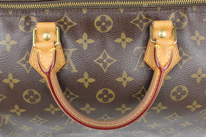 Louis Vuitton Speedy 30 Bag 2013