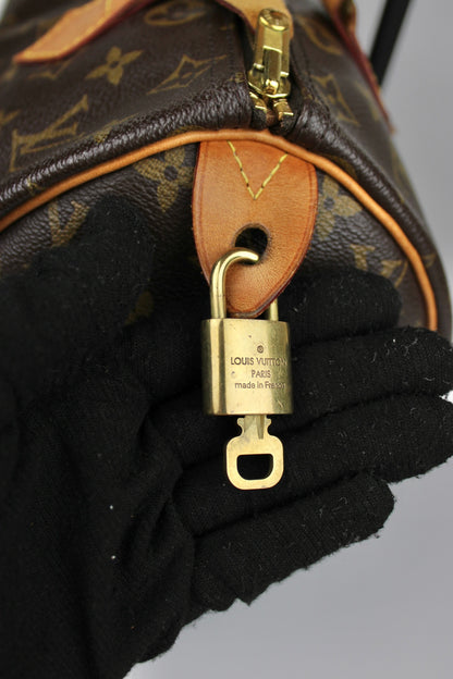 Louis Vuitton Speedy 30 Bag 2013