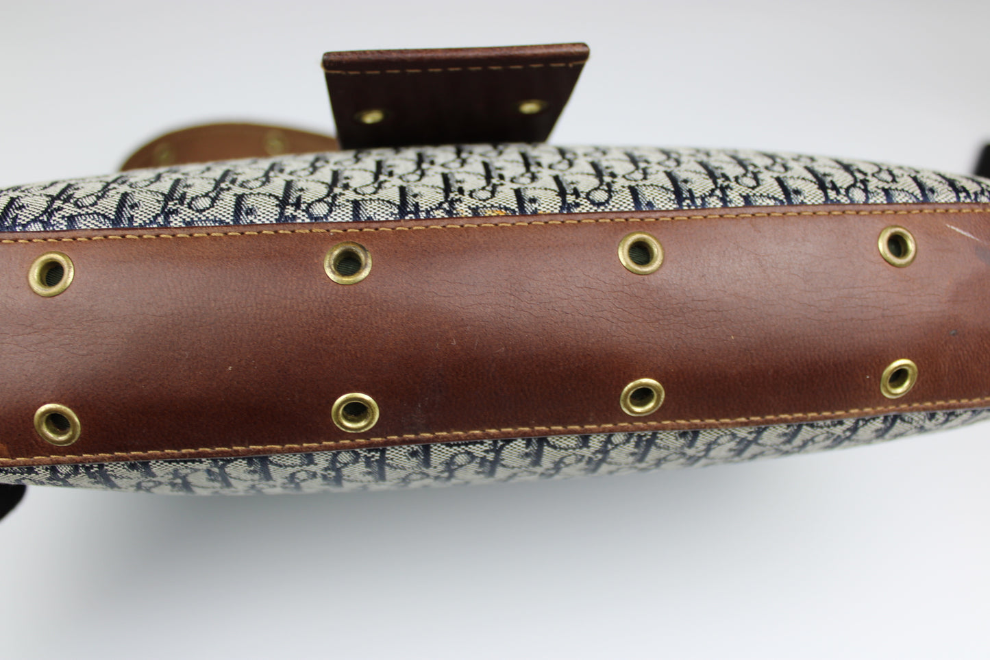 Dior Monogram Columbus Hobo Bag 2002