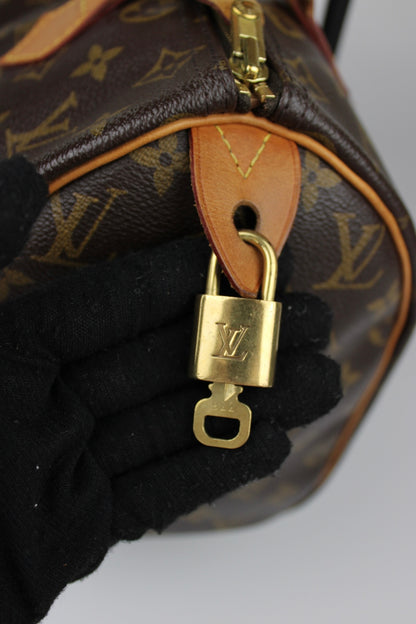 Louis Vuitton Speedy 30 Bag 2013