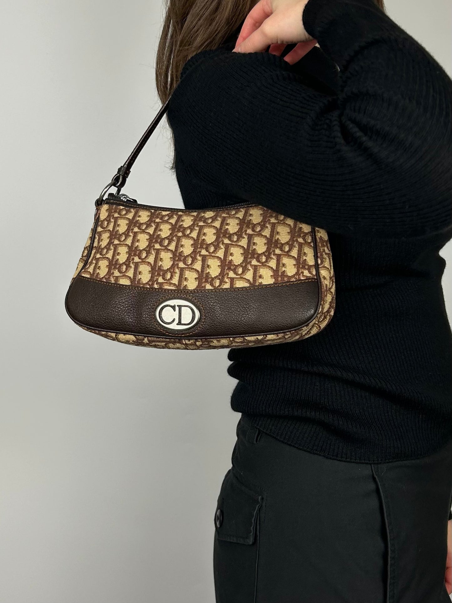 Dior Monogram Oblique Bag 2006