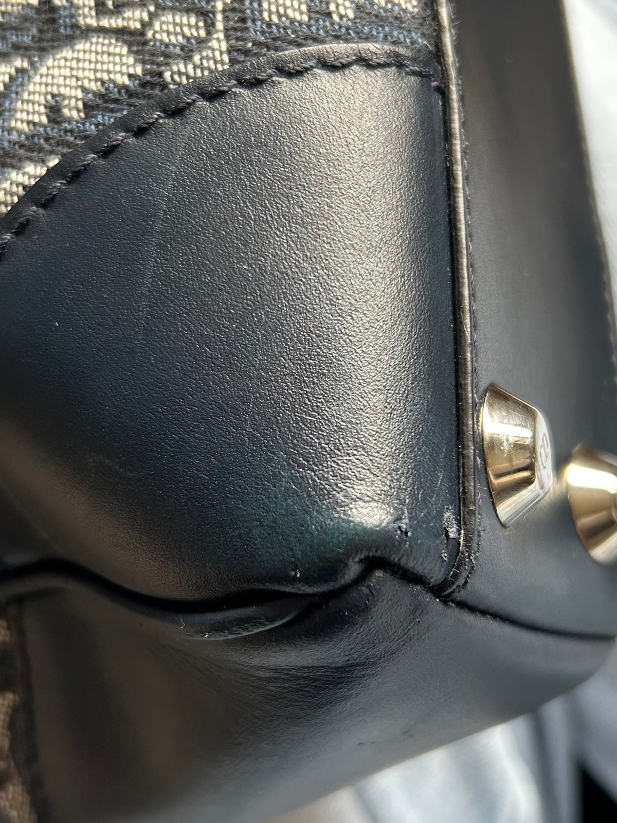 Pre-owned Dior Monogram Trotter Mini Tote Bag 2005