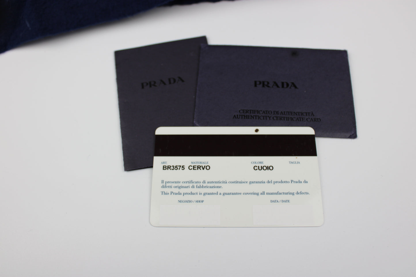 Prada Cervo Leather Hobo Bag