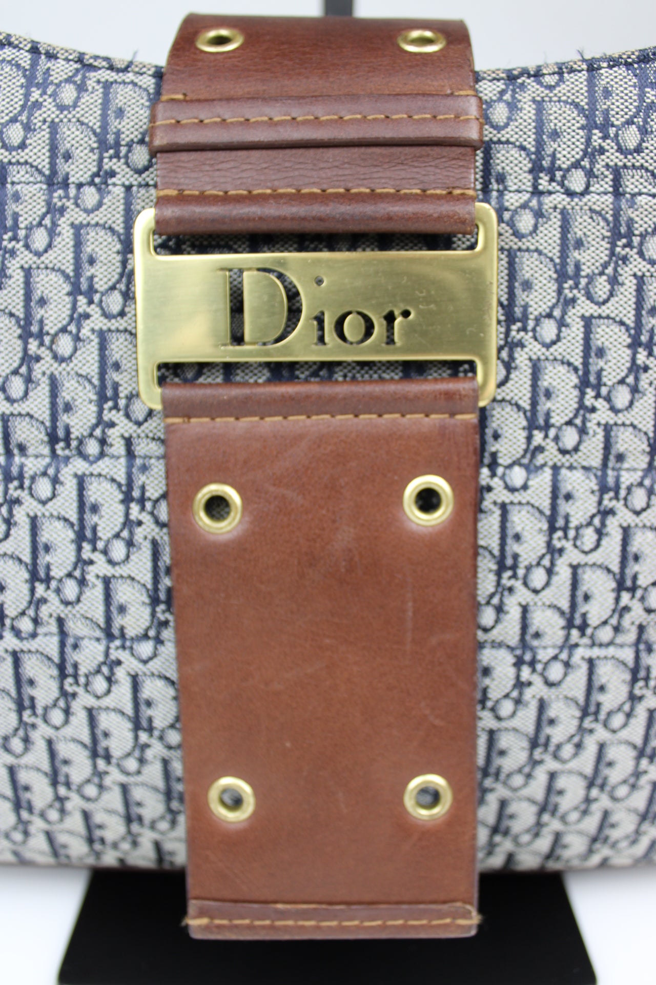 Dior Monogram Columbus Hobo Bag 2002