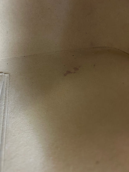 Louis Vuitton Looping Bag 2001