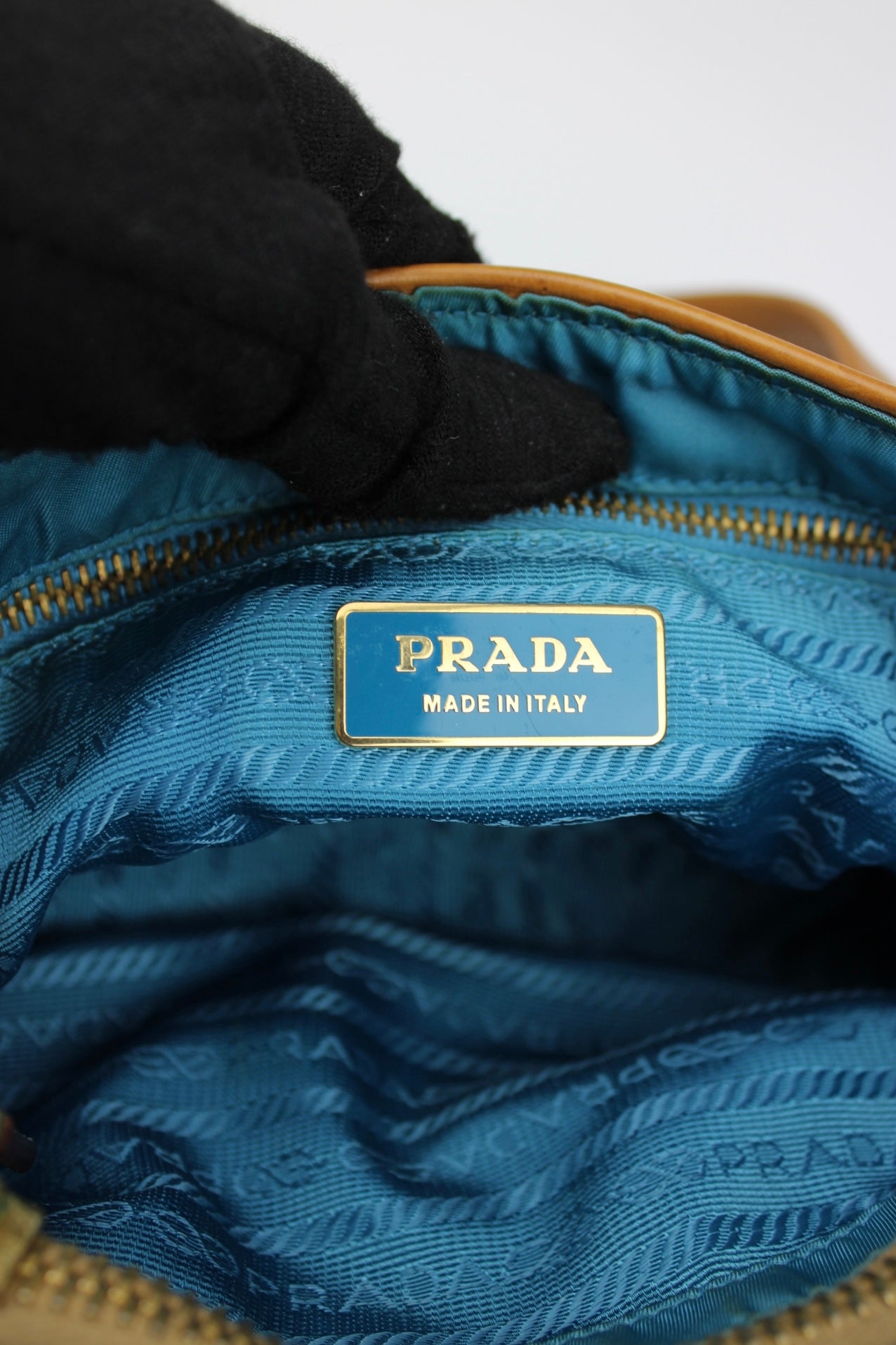 Prada Venice Painting Hobo Bag