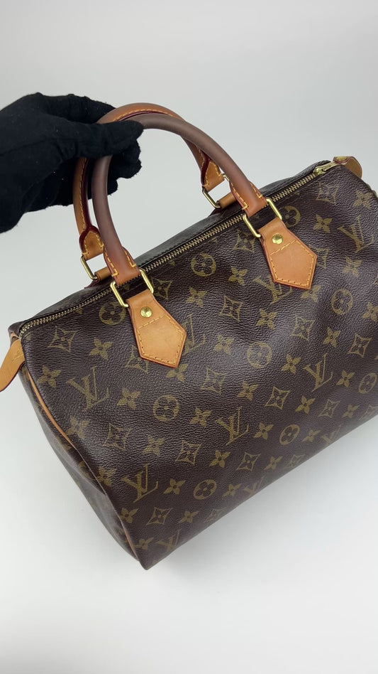 Louis Vuitton Speedy 30 Bag 2013