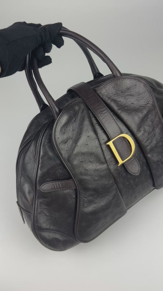 Dior Ostrich Leather Double Saddle Bag 2000